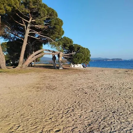 2 Pieces * La Londe-les-Maures